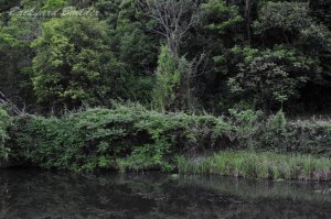 �~�����r