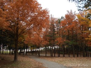 �����ՊC����