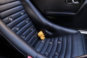 �N�}����