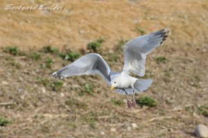 �Z�O���K����