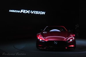 RX-VISION