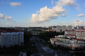 �R���h�~�j�A���̑�����̌i�F