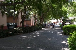 �N���[�N�L�[