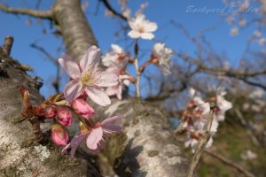 4���A����(^^)