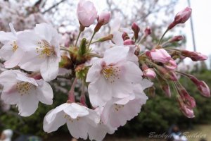 ���N�͍����x���ˁA�����ՊC������8���炫