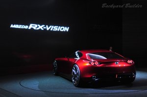 RX-VISION