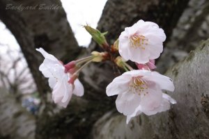 �\���C���V�m@�����ՊC����