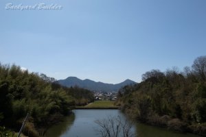 ���w�̍��ɖ������Ă����i�F