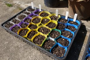 �K�[�f�j���O