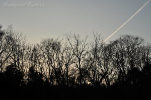 �Ђ������_