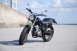 ���̈��� FTR223