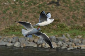 �����J����