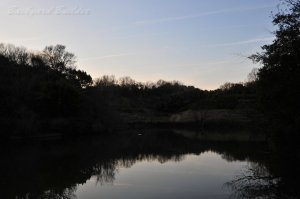 �~�����r�̐���