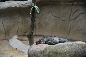 ���[���C���ł˂�