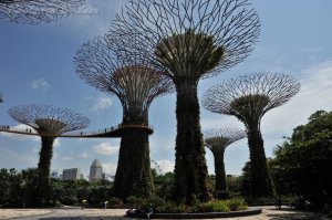 �ߖ����F���s�s