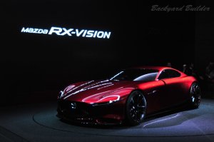 RX-VISION