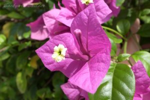 1�N���炢�Ă��