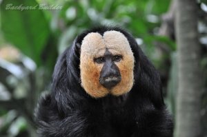 �͂��H�A���~�e�[�v��̓R���g���[���H�H�H