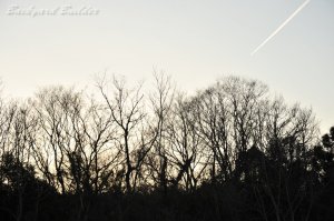 �Ђ������_