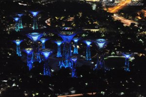 �V���K�|�[��