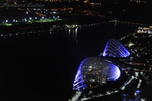 �}���i�x�C�T���Y���猩����i