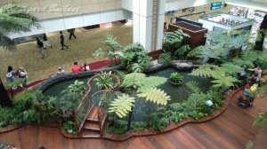 Changi Airport