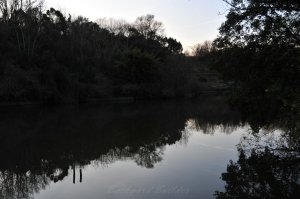 ��������ǂ�