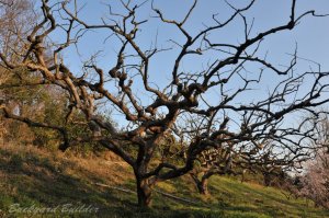 ���I3�N �`8�N