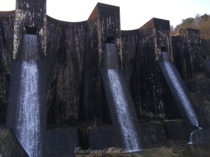 �L���r�_��