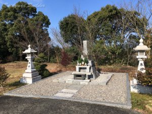 �n�_����