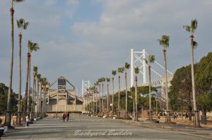 ���ˑ勴����