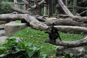 �I�����E�[�^��