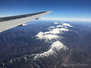 ���{�A���v�X