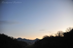 �c�������犵��e���񂾕��i