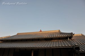 ��������10��