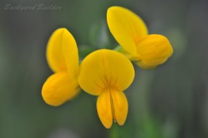 �~���R�O�T