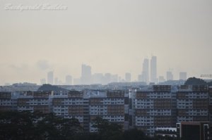 �}���V�����̑�����̌i�F