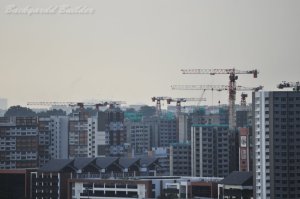 �R���h�~�j�A���̑�����̌i�F