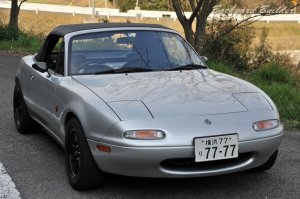 �I���W�i���h��