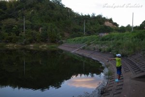 �����̑����r