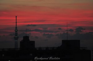 �}���V�����̑�����̒���