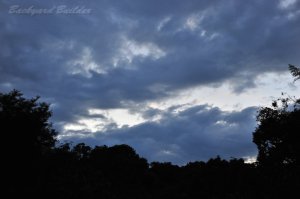 �������ǂ�