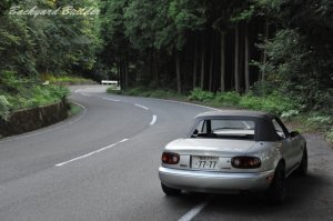 ���C���f�B���O���[�h