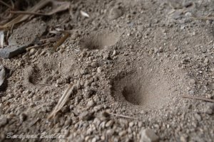 �A���a�S�N