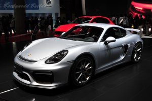 �|���V�F�P�C�}��