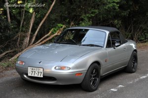 �����e��͂��ׂďo������� (^^)