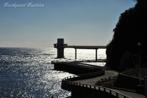 ���Y�C������