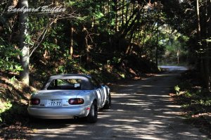 ����c�[�����O