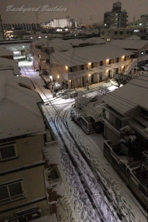 �v���Ԃ�̐�