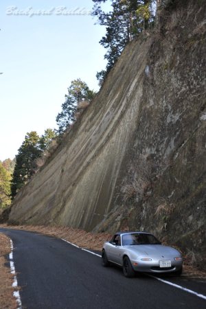 �i���g�J�ѓ�